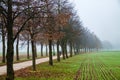 Path of Remembrance and Comradeship Royalty Free Stock Photo