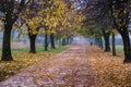 Path of Remembrance and Comradeship