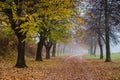 Path of Remembrance and Comradeship Royalty Free Stock Photo