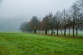 Path of Remembrance and Comradeship Royalty Free Stock Photo