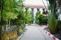 path in the resort part with greenery and palm trees Royalty Free Stock Photo