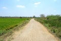 A path with rice field Royalty Free Stock Photo