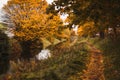 Path the river with autumn colors and yellow trees Royalty Free Stock Photo