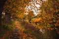 Path the river with autumn colors and yellow trees Royalty Free Stock Photo