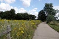 Path by the River Chelmer through the fields with wildflowers at Sandford Mill, Chelmsford, Essex Royalty Free Stock Photo