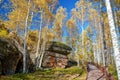 The path and rock in autumn birch forests in Great Khingan