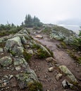 Path and Rocks in Thick Misty Fog