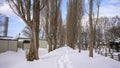 a path through a row of trees and covered in snow during the winter season Royalty Free Stock Photo