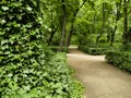 Path In Royal Park - Warsaw