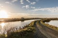 Path in the salt marshes Royalty Free Stock Photo