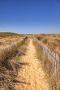 Path Through Sand Dunes Royalty Free Stock Photo