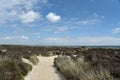 Path through sand dunes, Studland Nature Reserve