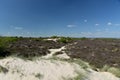 Path through sand dunes, Studland Nature Reserve