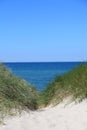 Path through sand dunes to the beach and sea