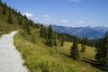 a path in the Austrian Alps of the Dachstein region (Styria in Austria) Royalty Free Stock Photo