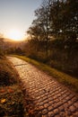 Path on schlossberg in freiburg