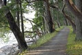 Path by the shore on the Gabriola Island Royalty Free Stock Photo