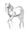 A quick pencil sketch of a half-turn horse on white paper. Fine freehand gesture drawing in minimalistic style. Modern monochrome