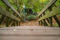 A path through a small forest near the village of Hude Royalty Free Stock Photo