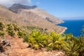 Path and small palm trees with barren mountains and blue sea