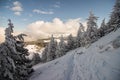 Path among snow-covered firs, hiking in the mountains Royalty Free Stock Photo