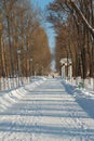 A path in a snow-covered winter park on a cold winter day, footprints in the snow. passers-by go into the distance Royalty Free Stock Photo