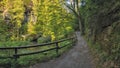 Path in Soutesky valley in National park Czech Switzerland near Hrensko village in spring sunset on 03rd June 2019 Royalty Free Stock Photo