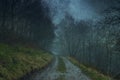 A path through a spooky magical forest in the English countryside on a moody winters night. With a grunge, artistic, edit