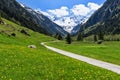 Path through spring mountain landscape near Stillup, Austria, Tyrol. Royalty Free Stock Photo