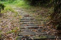 The path in the spring park. After rain. Royalty Free Stock Photo