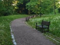 Path through the park and wooden benches