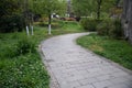 The path in the spring park. After the rain. Royalty Free Stock Photo