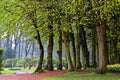 The path in the spring park. After the rain. Royalty Free Stock Photo