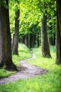 Path in the spring park Royalty Free Stock Photo