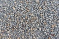 A path sprinkled with multi-colored fine gravel. Royalty Free Stock Photo