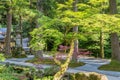 Path and stone wall with moss, and pine trees,  in summer. Eiheiji, Japan Royalty Free Stock Photo