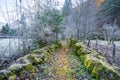 Path with Stones covered in Moss and Frost during Autumn Season - Hallstatt, Austria Royalty Free Stock Photo