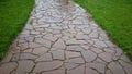 a path of stones and green gras.