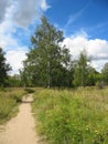 Path in a summer park. Landscape Royalty Free Stock Photo