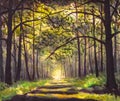 Path sunny footpath road in sunlight park alley forest Royalty Free Stock Photo