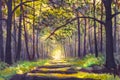 Path sunny footpath road in sunlight park alley forest Royalty Free Stock Photo