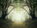 Path through surreal autumn forest Royalty Free Stock Photo