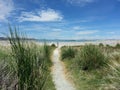 Path surrounded by grass heading to the sandy beach. Royalty Free Stock Photo