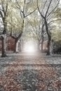 Path surrounding by trees and at the end a light , mystery forest black and white landscape Royalty Free Stock Photo