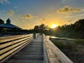 path in the swamp at sunrise during storm Royalty Free Stock Photo