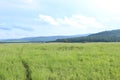 Path through tall grass in Mlilwane Wildlife Sanctuary in Swaziland, southern Africa