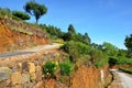 Path through tea plantations in Haputale Royalty Free Stock Photo