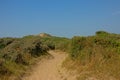 PAth thorugh the dunes along the French opal coast Royalty Free Stock Photo