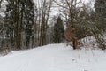 path throug a snowy forest in winter Royalty Free Stock Photo