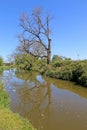 Path by the Tiverton canal, Devon Royalty Free Stock Photo